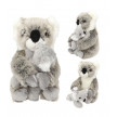 PELUCHE MAMA KOALA Y BEBE WILD TOP MODEL