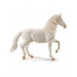 CABALLO CAMARILLO BLANCO COLLECTA