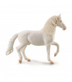 CABALLO CAMARILLO BLANCO COLLECTA