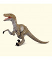 VELOCIRAPTOR COLLECTA