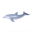 DELFIN COLLECTA