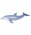 DELFIN COLLECTA