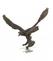 MICRORAPTOR COLLECTA