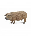 CERDO MANGALICA COLLECTA