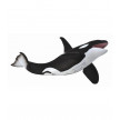 ORCA COLLECTA