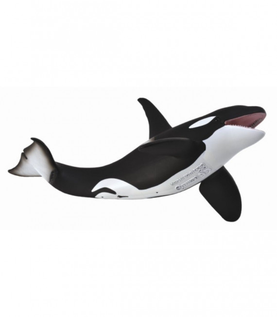 ORCA COLLECTA