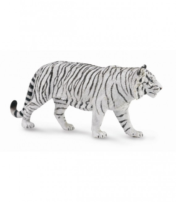 TIGRE BLANCO COLLECTA