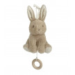 CONEJITO MUSICAL BABY BUNNY LITTLE DUTCH