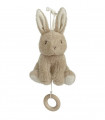 CONEJITO MUSICAL BABY BUNNY LITTLE DUTCH