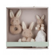 CAJA REGALO BABY BUNNY LITTLE DUTCH