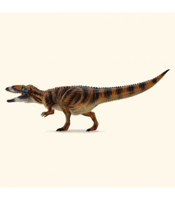 CARCHARODONTOSAURUS COLLECTA