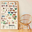 POSTER PEGATINAS INSECTOS POPPIK