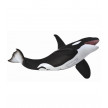 ORCA COLLECTA