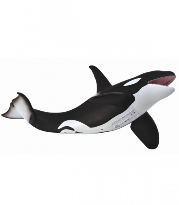 ORCA COLLECTA