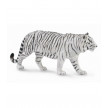 TIGRE BLANCO COLLECTA