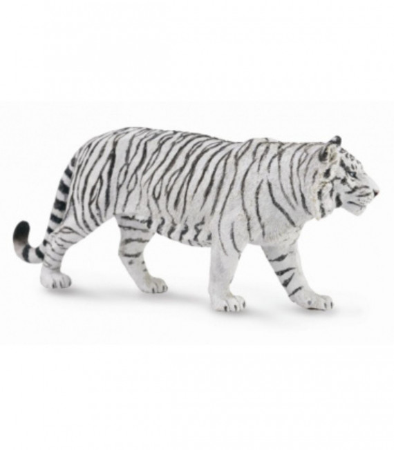 TIGRE BLANCO COLLECTA