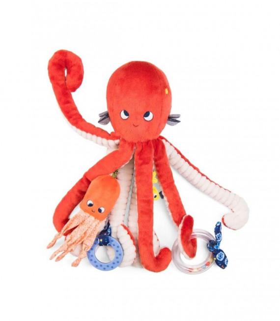 GRAN PULPO DE ACTIVIDADES PAULIE MOULIN ROTY