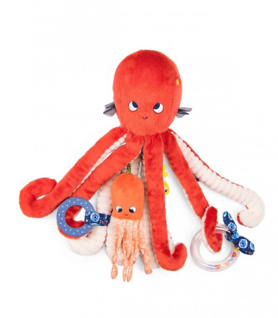 GRAN PULPO DE ACTIVIDADES PAULIE MOULIN ROTY